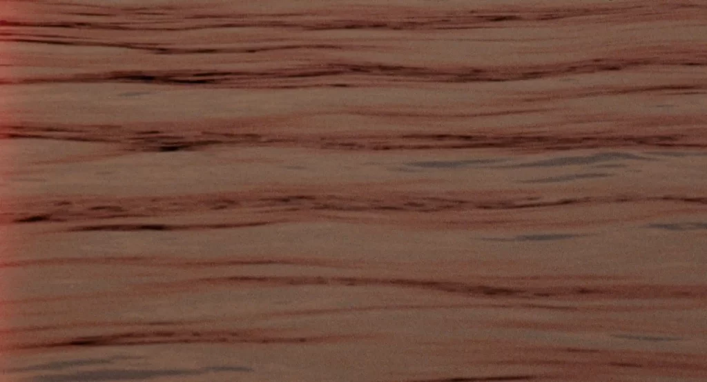 Eyes Without Gaze Leniko Sennoma