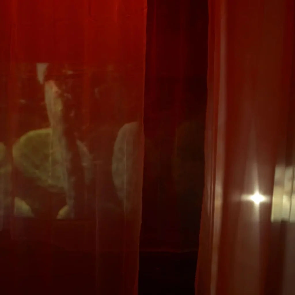 Abstract red light installation with translucent fabric panels and organic reflective projections, creating soft blurred human-like contours in a dark exhibition space.
