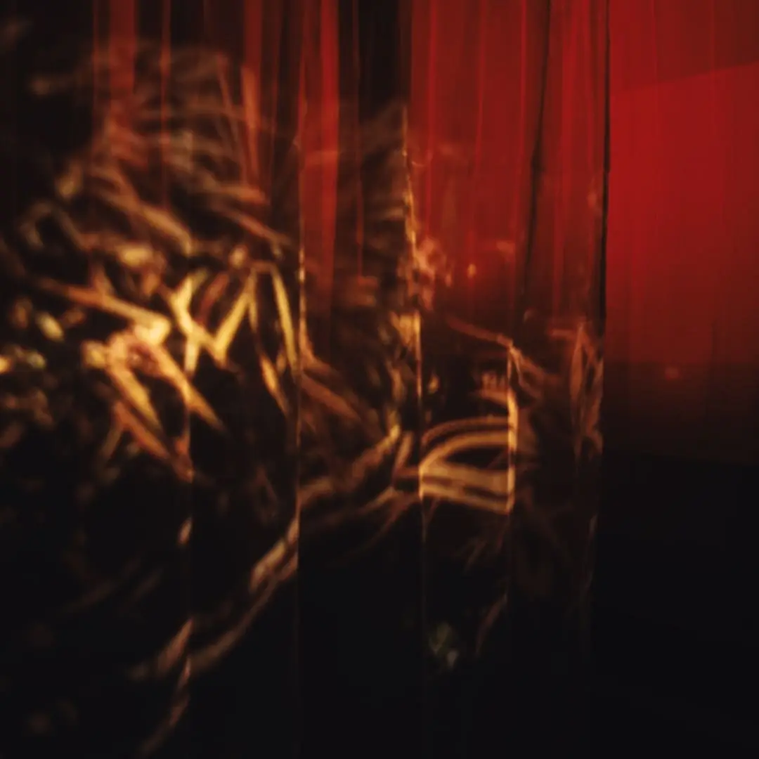 Abstract red light installation with translucent fabric panels and sharp golden reflective projections forming branch-like organic patterns in a dark immersive space.
